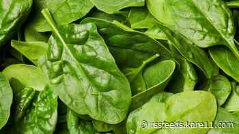 Two people sick with E. coli after eating organic baby spinach