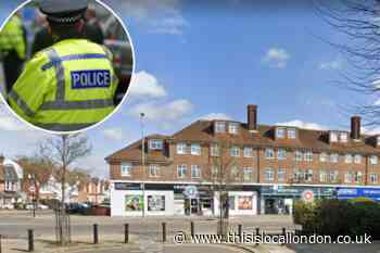 Woman hits head during attempted robbery in Palmers Green