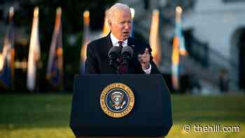 Americans divided on Biden's health, mental fitness: poll