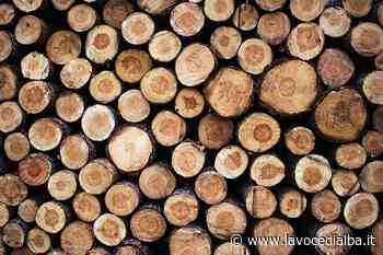 A Restructura anche il cluster legno Cuneo - LaVoceDiAlba.it