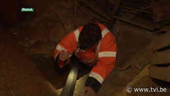 Riemst laat mergelgangen opvullen om huisverzakkingen te voorkomen - TV Limburg