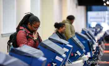 House Democrats focusing on people of color with voter turnout operation: report