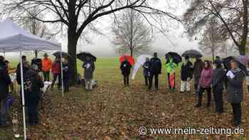 Friedensdekade im Hunsrück: Die Reichweite von Frieden erweitern - Rhein-Zeitung