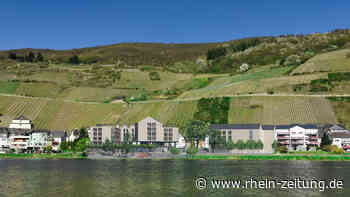 Corray-Protest wirkt: Zell passt Uferpläne an - Kreis Cochem-Zell - Rhein-Zeitung