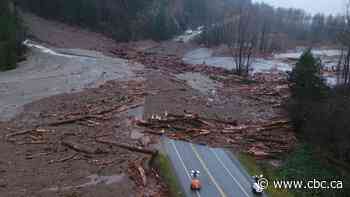 Trucking industry working to get around catastrophic B.C. highway closures