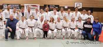 Judoka des VfL Stade feiern Doppel-Vize-Titel - Alle Artikel - Tageblatt-online