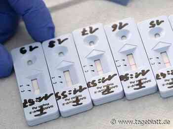 Landkreis Stade hat bundesweit mit die geringste Sieben-Tage-Inzidenz - TAGEBLATT: Nachrichten aus Stade, Buxtehude und der Region - Tageblatt-online