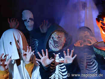 Halloween: Landkreis Stade gibt grünes Licht für die Süßigkeitenjagd - TAGEBLATT: Nachrichten aus Stade, Buxtehude und der Region - Tageblatt-online