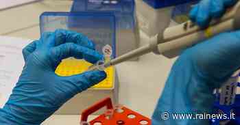 Influenza stagionale, isolato a Bari il virus H3N2 - TGR Puglia - TGR – Rai