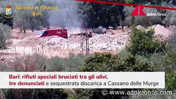 Bari, rifiuti speciali bruciati tra gli ulivi - Adnkronos