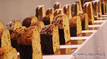 A Bari i migliori panettoni 2021. Premiato anche un pasticcere altamurano - TGR Puglia - TGR – Rai