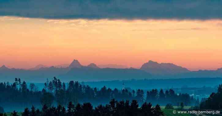 Nasser Sommer hat Wäldern gut getan: Problemzone Franken