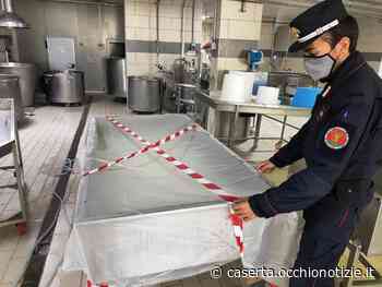 Santa Maria Capua Vetere, frode della mozzarella di bufala - L'Occhio di Caserta