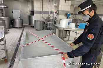 Santa Maria Capua Vetere, la Forestale sequestra una partita di mozzarelle per frode in commercio - GeosNews