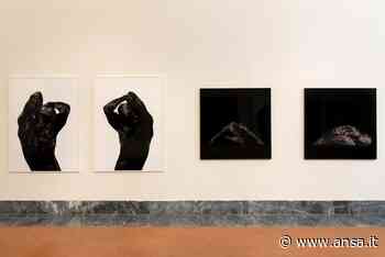 Al museo campano di Capua le opere di Danilo Ambrosino - ViaggiArt - Agenzia ANSA