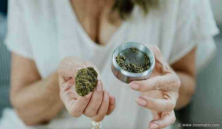 Le pionnier de la vente de CBD relaxé par la cour d'appel d'Aix: on vous explique pourquoi c'est un tournant