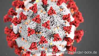 Corona im Kreis Calw: 213 Neuinfektionen gemeldet
