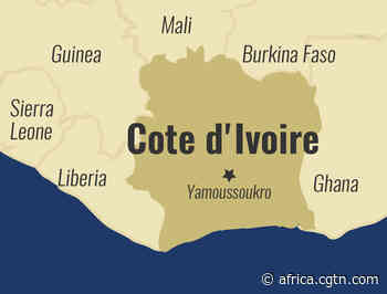 Deadly yellow fever outbreak kills 25 in Cote d'Ivoire - cgtn.com