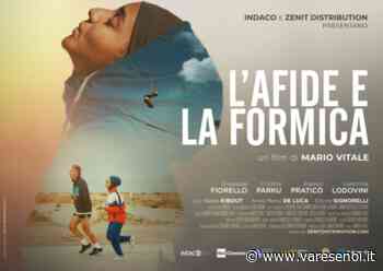 L'Afide e la Formica: l'opera prima di Mario Vitale che rappresenta «la Bella Italia di oggi, con tutti i suoi pro e contro» - VareseNoi.it