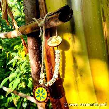 Des "colliers d’immunité" à débusquer dans deux parcs de Menton