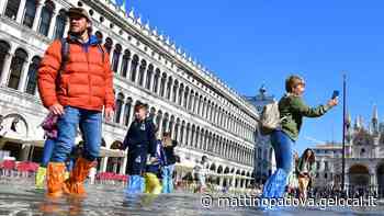 Maree astronomiche, allarme acqua alta a Venezia: nel 2022 piazza San Marco sarà allagata per 261 ore - il mattino di Padova