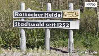 Urlauber verschmutzen Rostocker Heide: Wald als Klo missbraucht: Forstamtsleiter fordert Konsequenzen | nnn.de - nnn.de