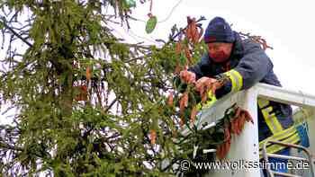 Weihnachtsmärkte in der Elbe-Heide sind weiter in der Planung - Volksstimme