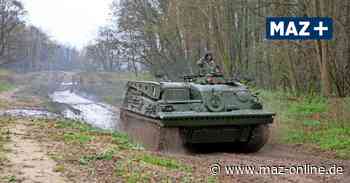 Wegesperrungen in Sielmanns Naturlandschaft Döberitzer Heide - Märkische Allgemeine Zeitung