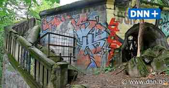 Wolfshügelturm in der Dresdner Heide soll 2023 eine Aussichtsplattform haben - Dresdner Neueste Nachrichten