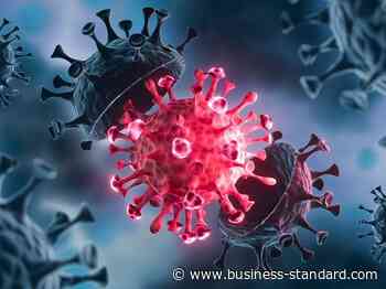 Germany sees surge in coronavirus cases, mulls new restrictions - Business Standard