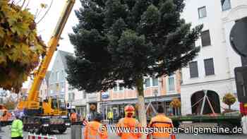 Der Christbaum auf dem Aichacher Stadtplatz ist da - Augsburger Allgemeine