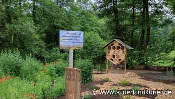 „Natur-Wander-Treffpunkt Dütlingstal“ lädt nach Marsberg zum Verweilen ein - SauerlandKurier