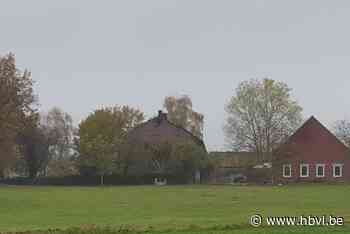 Boerderij compleet vernield door zware brand (Kinrooi) - Het Belang van Limburg Mobile - Het Belang van Limburg