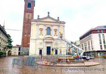 A Gallarate arriva l'albero di Natale in piazza - varesenews.it