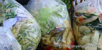 Five ways to cut down on food waste – and why it matters - The Conversation UK