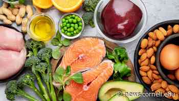 Food scientists create zinc index for human body | Cornell Chronicle - Cornell Chronicle