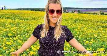 The Welsh woman who forages for food on road verges and other unexpected places - WalesOnline