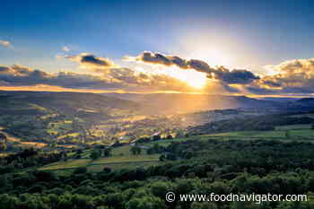 Food safety regulators must respond to the threat of climate change: FSA - FoodNavigator.com