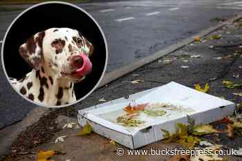 Chesham: Dog eats food waste after collections suspended - Bucks Free Press