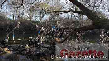 River Lea: Diane Abbott joins campaign against pollution 'inaction' - Hackney Gazette