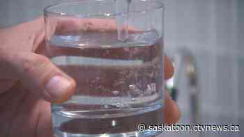'We don't see agricultural residue as waste': U of S researchers tackling Sask.'s arsenic problem in water