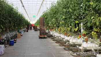 Australian farmers offered discounted 'green loans'