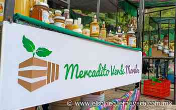 Mercadito Verde Morelos en el Parque Barranca Chapultepec - El Sol de Cuernavaca