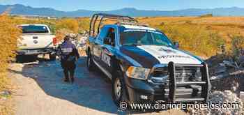 Abandonan cuerpo en campos de La Unión de Cuernavaca - Diario de Morelos