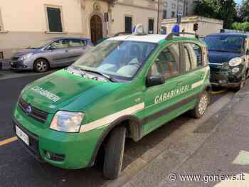 Lavoratori a nero e ambienti insalubri, due denunce a Prato - gonews