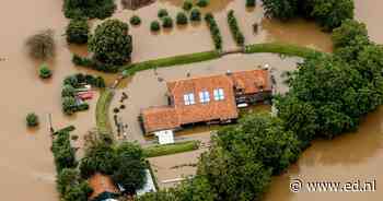 Onbekenden nagelen bever aan boom in België: 'Ongedierte verantwoordelijk voor overstromingen' - Eindhovens Dagblad