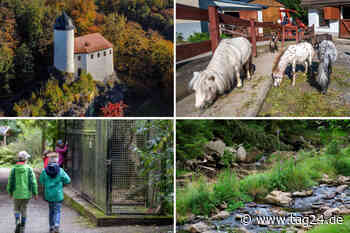 Chemnitz: Raus aus den Federn und ab vor die Tür mit unseren Tipps zum Feiertag - TAG24