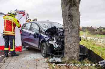Frontalkollision mit Baum in Ostfildern - 84-Jährige stirbt bei schwerem Verkehrsunfall - esslinger-zeitung.de
