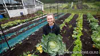 Whangārei woman who quit engineering to become professional gardener, says gardening saved her life - New Zealand Herald