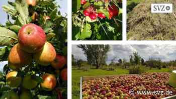Naturschutz in Parchim: BUND lädt zum Vortrag über Streuobstwiesen | svz.de - svz.de